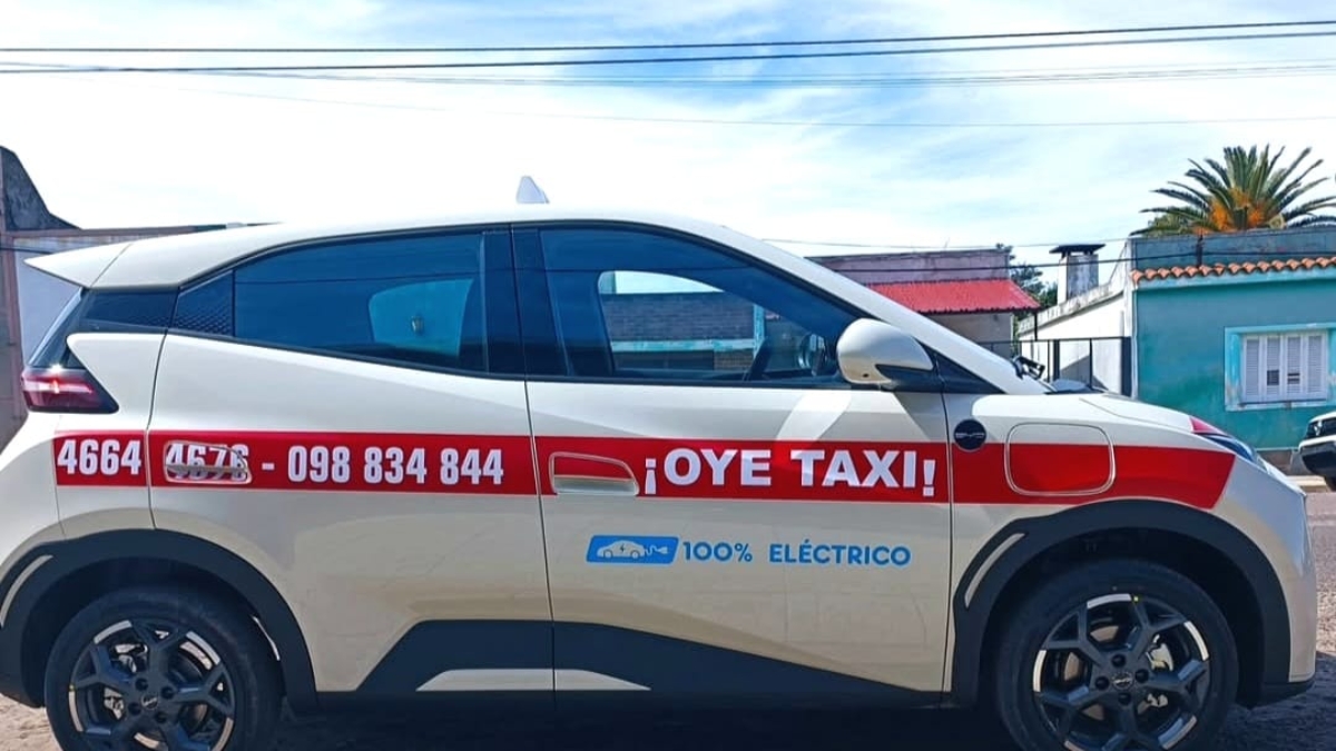 WhatsApp Image 2025-11-05 at 15.24.49